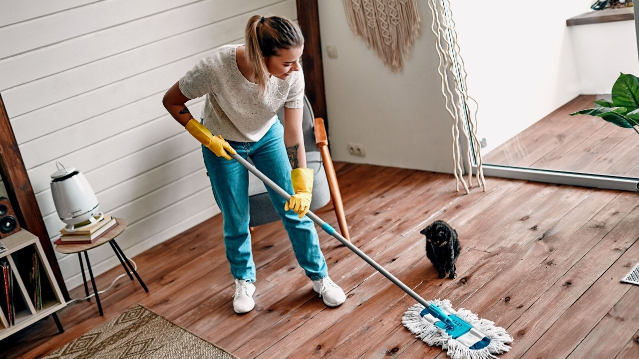 First Cleaning in Cartersville,GA