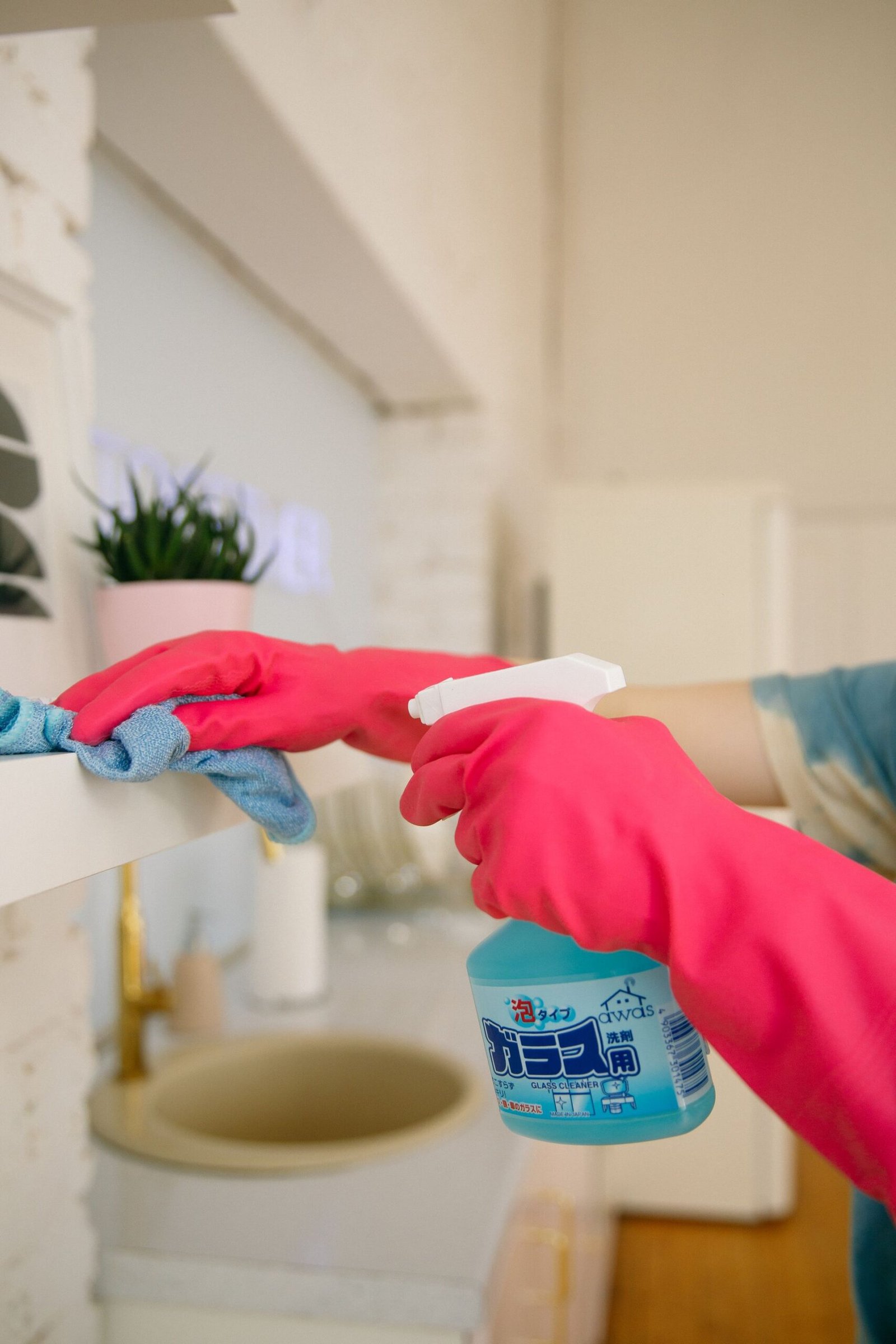 house cleaning